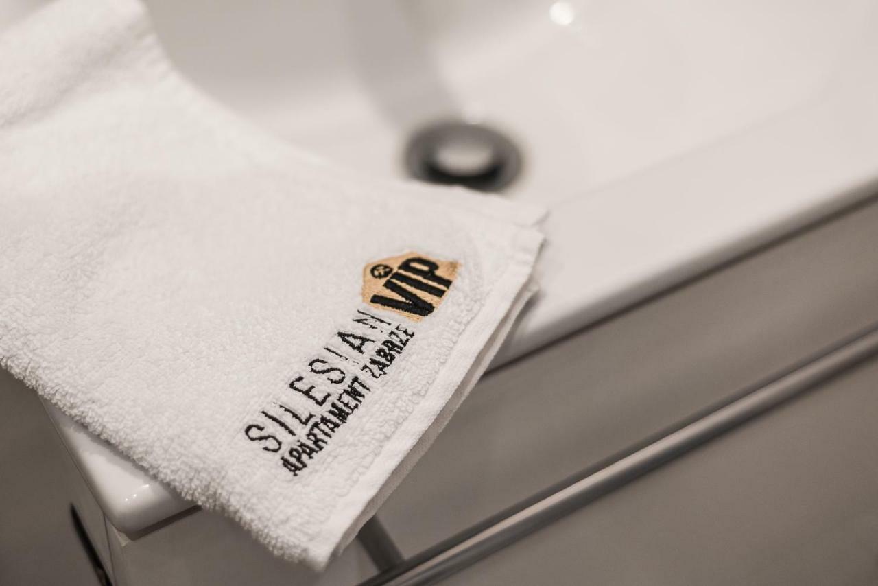 Apartament Silesian Vip ザブジェ エクステリア 写真